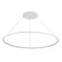 S111024/1R 60W White In