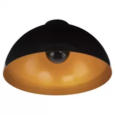 6934