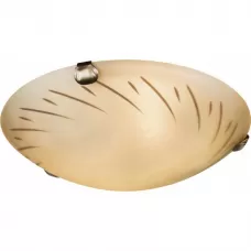 40594