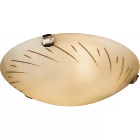 40594