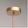 394011006