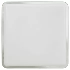 3243