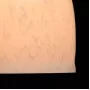 354019101
