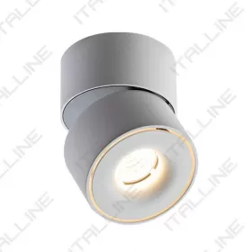 IT02-001 DIM white