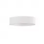 DL18439/12 White