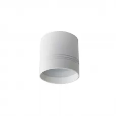 DL18483/WW-White R