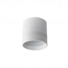 DL18484/WW-White R