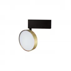 DL18791/Brass 12W