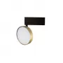 DL18791/Brass 12W