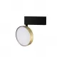 DL18791/Brass 24W
