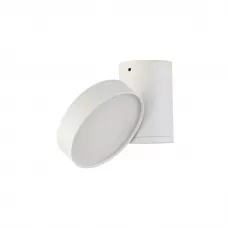 DL18811/15W White R Dim