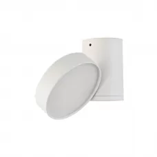 DL18811/23W White R Dim