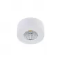 DL18812/7W White R