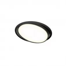 DL18813/15W Black R