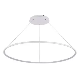 S111024/1R 60W White In