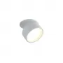 DL18959R12W1W