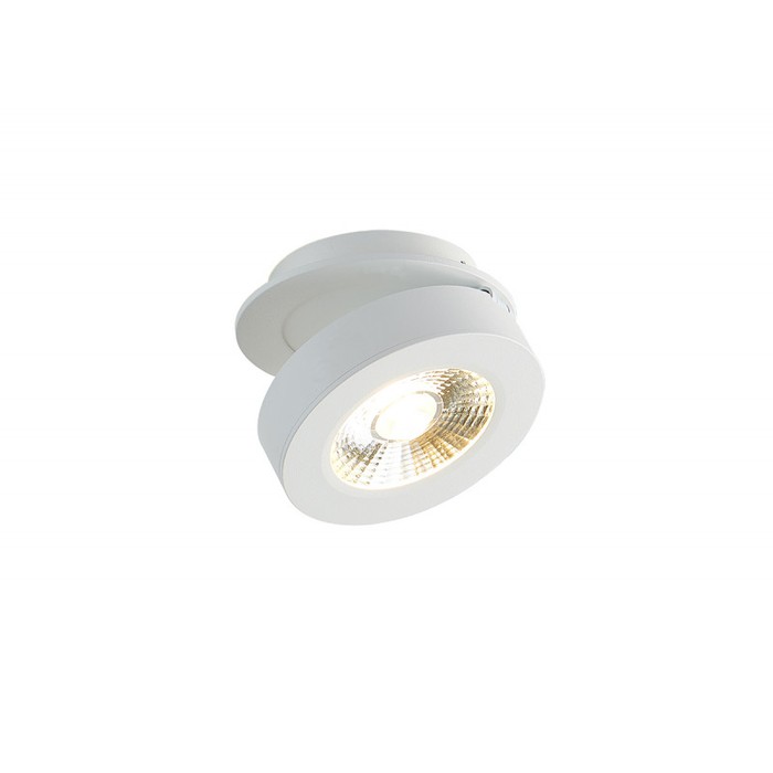DL18961R12W1W