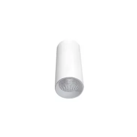 DL18895R10W1W