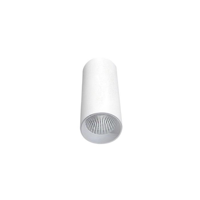 DL18895R10W1W