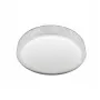 LED LAMPS 81075
