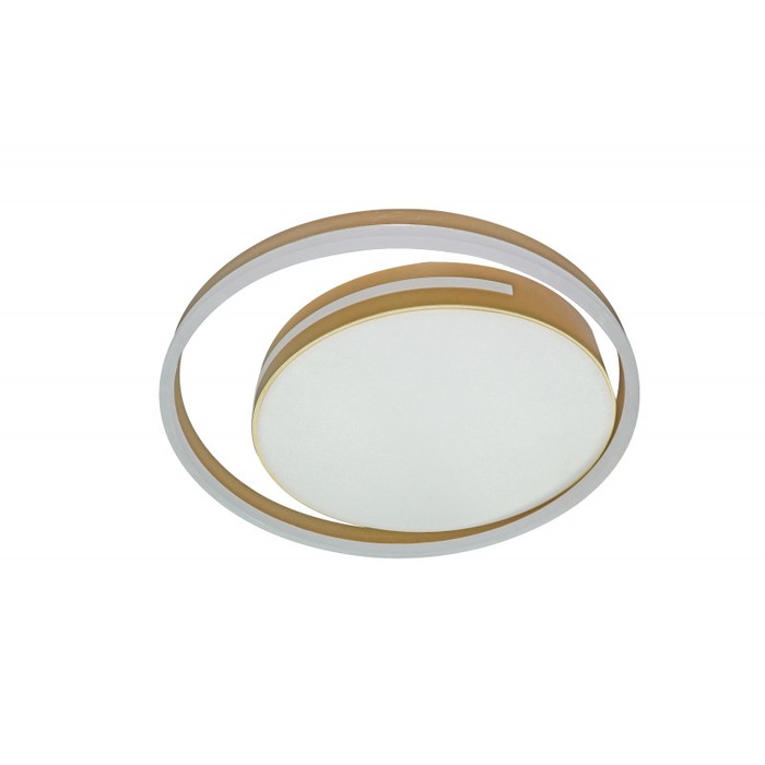LED LAMPS 81304