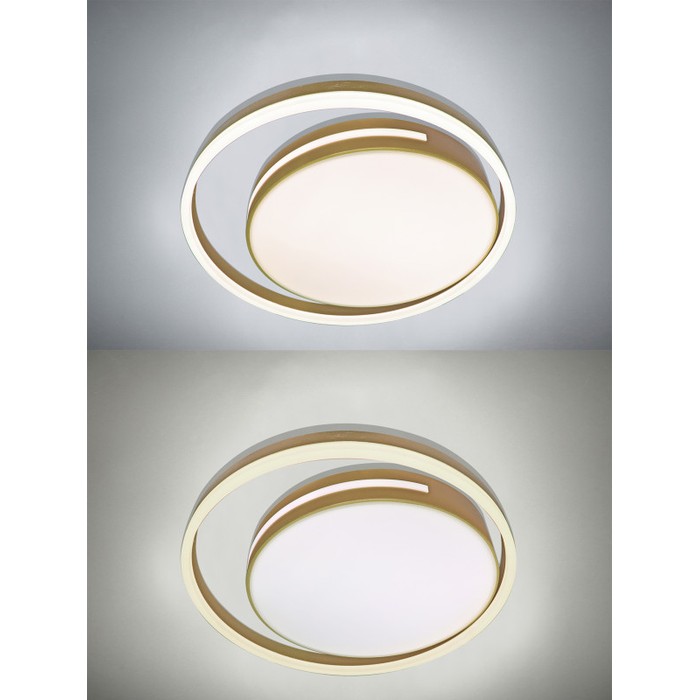 LED LAMPS 81304