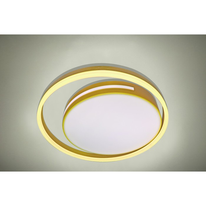 LED LAMPS 81304