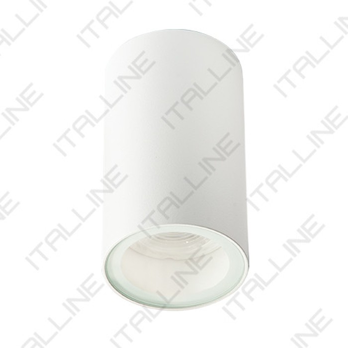 DANNY PL IP white