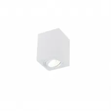 2038-1CLW