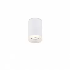 2039-1CLW