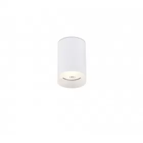 2039-1CLW