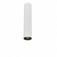 2055-LED10CLW