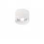 2059-LED12CLW