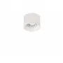 2060-LED7CLW