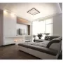 LED LAMPS 81096