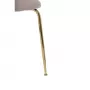 30C-301-1G BG