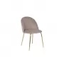 30C-301-1G BG