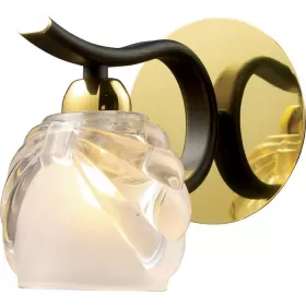 438-01-31 gold + dark wengue
