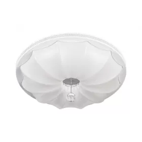 10231/S LED