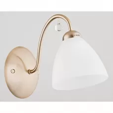 23750