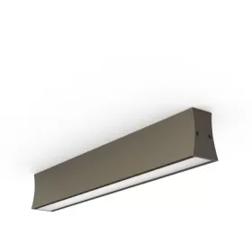 7953