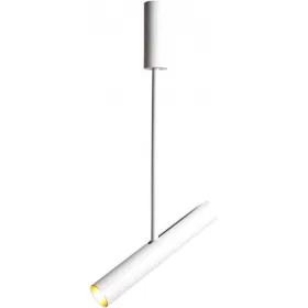 A2509PL-1WH