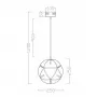 FR5099PL-L6CH