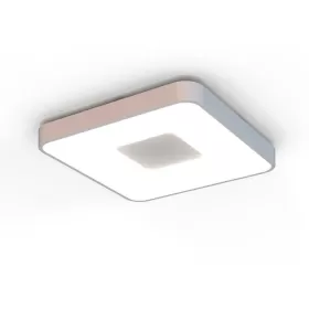 7919