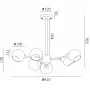 FR5121PL-06G