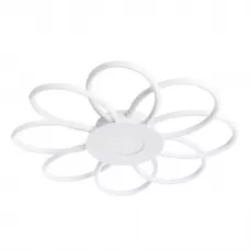 A2528PL-8WH
