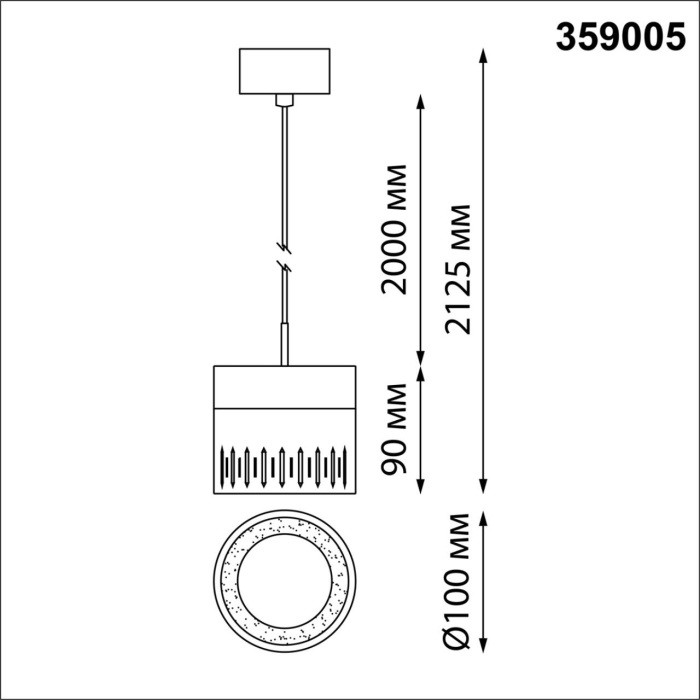 359005