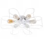 A6049PL-6WH