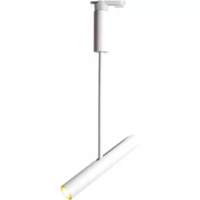 A2513PL-1WH