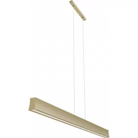 7569